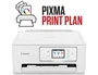 Canon PIXMA TS7650i Blanco