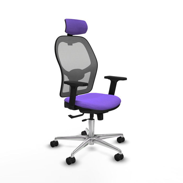 PIQUERAS Y CRESPO Silla de oficina Jorquera con mecanismo Sincro/Traslack, Lila y Gris PIQUERAS Y CRESPO Silla de oficina Jorquera con mecanismo Sincro/Traslack, Lila y Gris