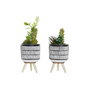 Planta Decorativa DKD Home Decor Cerámica Negro Polietileno Blanco Verde (7 x 7 x 19 cm) (2 Unidades)