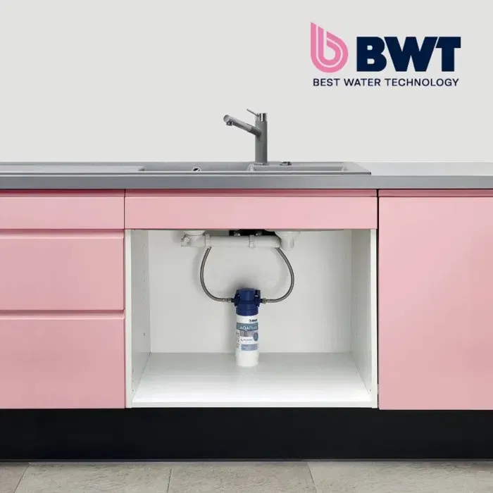 BWT Cartucho de repuesto AQA PURA, Elimina malos sabores, olores, pesticidas y metales pesados