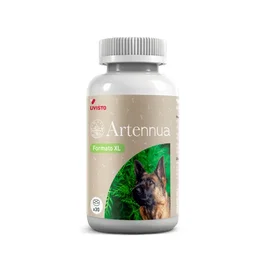 Livisto ARTENNUA XL 30 COMP