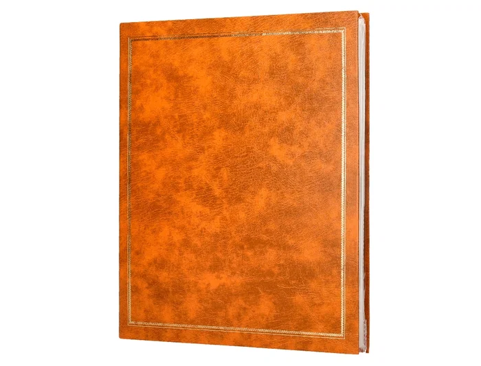 Liderpapel Álbum de Fotos Serie Classic con Anillas y 20 Hojas Autoadhesivas, Color Marrón