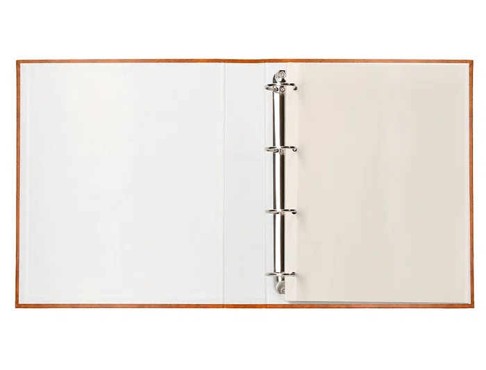 Liderpapel Álbum de Fotos Serie Classic con Anillas y 20 Hojas Autoadhesivas, Color Marrón