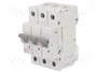 ETI POLAM Interruptor magnetotérmico ETIMAT P10 3P C25 25A 10kA