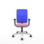 PIQUERAS Y CRESPO Silla de oficina Motilla con mecanismo Sincro, Rosa y Azul