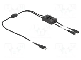 DeLOCK Cable USB Type-C a 2 x DC 5,5 x 2,1 mm con interruptor, 1 m