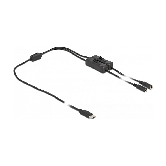 DeLOCK Cable USB Type-C™ a 2 x DC 5,5 x 2,1 mm con interruptor, 1 m