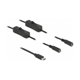 DeLOCK Cable USB Type-C™ a 2 x DC 5,5 x 2,1 mm con interruptor, 1 m