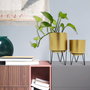 Home Deco Factory Juego de 2 Macetas con Pie Metal Colección Lounge