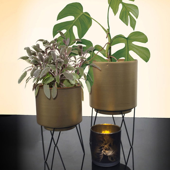 Home Deco Factory Juego de 2 Macetas con Pie Metal Colección Lounge