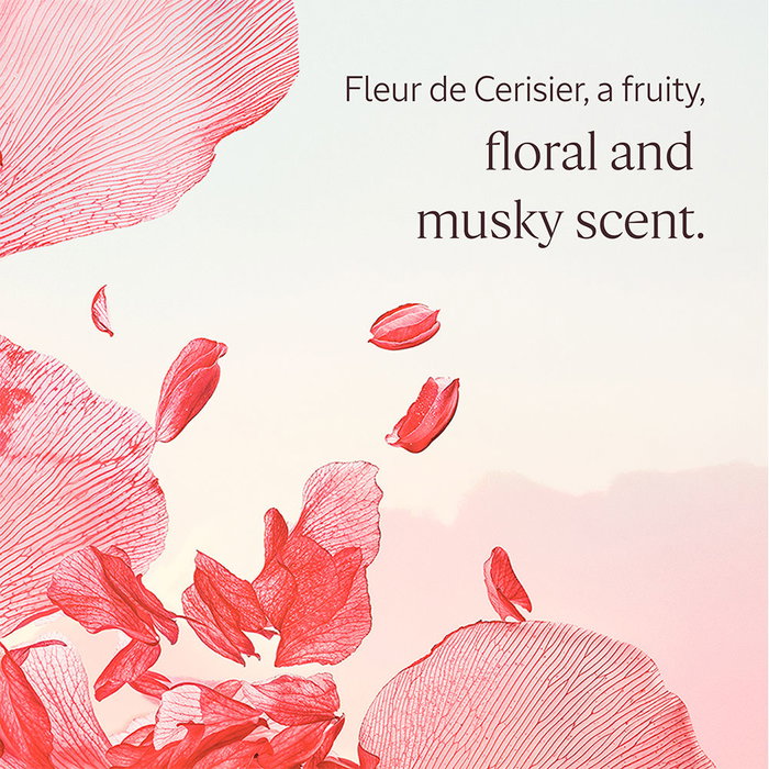 L'Occitane En Provence Estuche Fleurs de Cerisier 3 piezas