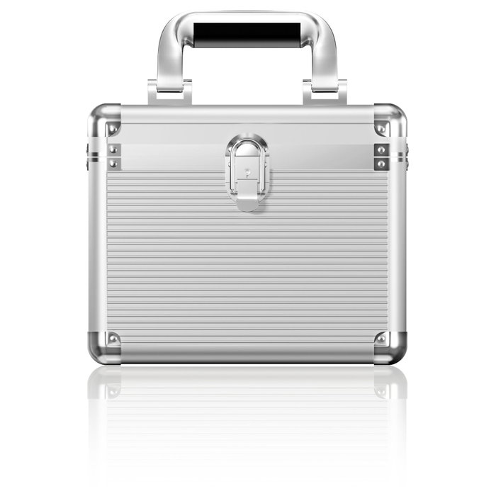 ICY BOX IB-AC628 Maleta de transporte para 10 discos duros de 2.5 y 3.5 pulgadas