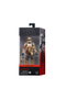 Hasbro Star Wars The Black Series Figura Shoretrooper 15 cm