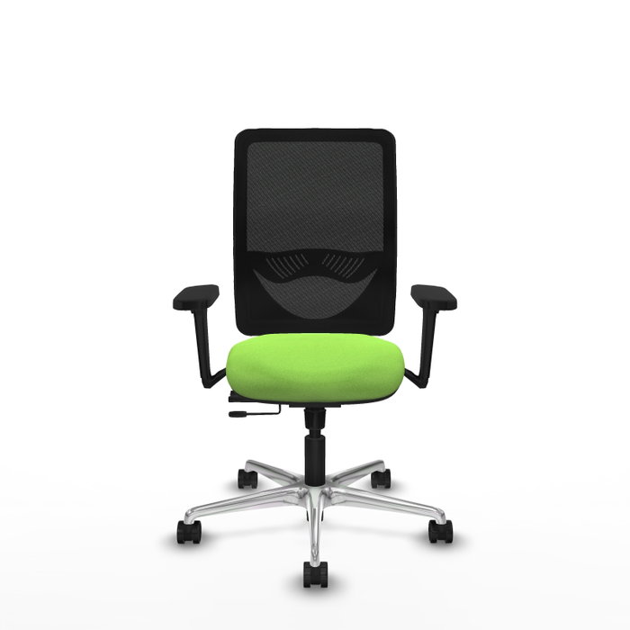 PIQUERAS Y CRESPO Silla de oficina Zulema con mecanismo Sincro/Traslack, Pistacho y Negro PIQUERAS Y CRESPO Silla de oficina Zulema con mecanismo Sincro/Traslack, Pistacho y Negro