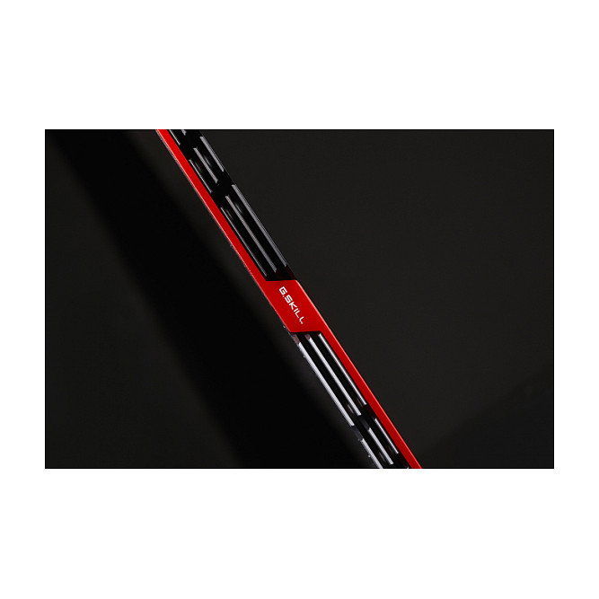 G.Skill Trident Z 16GB DDR4 3200MHz CL16 KIT (2x8GB) 16GTZB para PC/Servidor