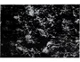Liderpapel Classic Archivador Cuarto Apaisado Negro