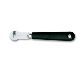 DEGLON OVINOX Cuchillo para Limones y Cítricos RIZALIMONES, Longitud 22 cm