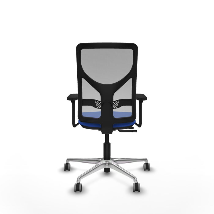 PIQUERAS Y CRESPO Silla de oficina Motilla con mecanismo Sincro/Traslack Azul y Gris PIQUERAS Y CRESPO Silla de oficina Motilla con mecanismo Sincro/Traslack Azul y Gris