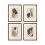 DKD Home Decor Cuadro Cristal PS Abstracto Surtido de 8 Piezas
