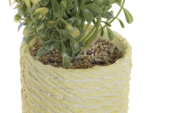 DKD Home Decor Plantas de PE y EVA Surtidas (Rosa, Amarillo, Verde)