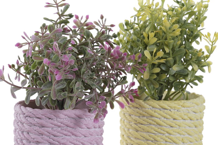 DKD Home Decor Plantas de PE y EVA Surtidas (Rosa, Amarillo, Verde)