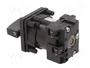 SCHNEIDER ELECTRIC Interruptor de Leva 12A 0-1 Negro