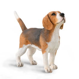 Collecta Perro Beagle 88935 Modelo Coleccionable para Niños +3 Años