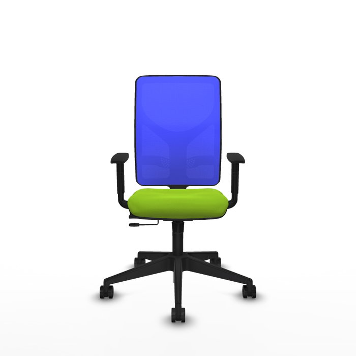 PIQUERAS Y CRESPO Silla de oficina Motilla con mecanismo Sincro/Traslack, Pistacho y Azul