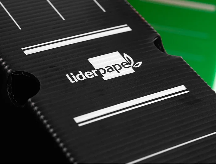 Liderpapel Caja archivo definitivo plástico lomo 100 mm negro 360x100x260 mm