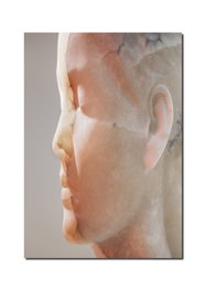 RM VERLAG, Jaume Plensa: Inner Matter / Materia Interior