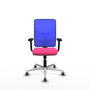 PIQUERAS Y CRESPO Silla de oficina Motilla Rosa y Azul con Mecanismo Sincro