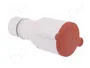 PAWBOL Conector de alimentación AC trifásico hembra 32A