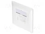 Digitus Toma de Red CAT 6A 2xRJ45 Apantallada Blanca DN-9007-1