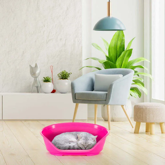 Ferplast Basket Siesta Deluxe 2 Cama para Perros y Gatos Plástico Fucsia 49x36x17.5 cm Fácil Mantenimiento Ventilación Reposacabezas Antideslizante Ferplast Basket Siesta Deluxe 2 Cama para Perros y Gatos Plástico Fucsia 49x36x17.5 cm Fácil Mantenimiento Ventilación Reposacabezas Antideslizante