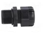 BM GROUP Sello aislante M20 con rosca prolongada