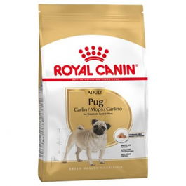 Royal Canin Adult Carlino 25 Pienso para Perro de 3 kg