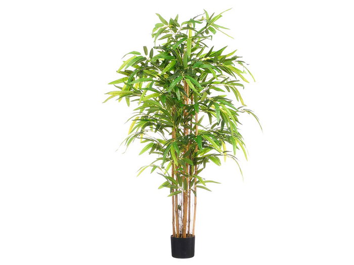 Ibergarden Maceta Bambú Pequeña Pack de 2