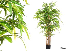 Ibergarden Maceta Bambú Pequeña Pack de 2