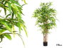 Ibergarden Maceta Bambú Pequeña Pack de 2