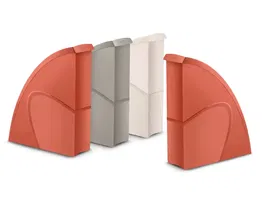 Cep Revistero Plástico Terra Nova Lote 4 Unidades Colores Surtidos 270x85x310 mm