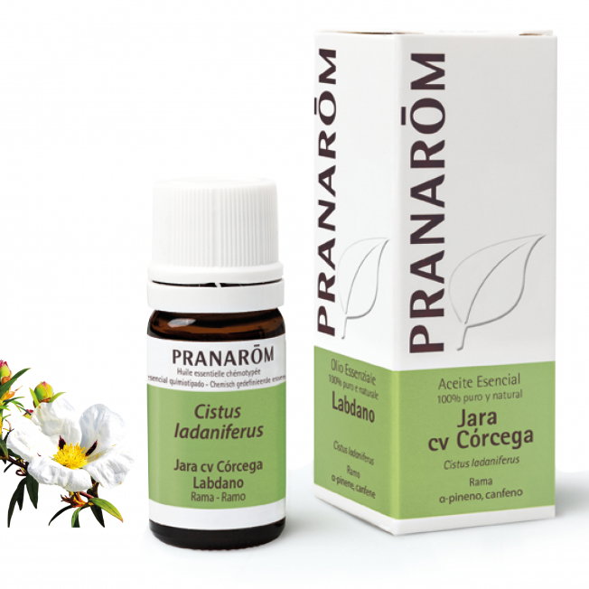 PRANAROM Aceite esencial BIO Jara Córcega 5 ml PRANAROM Aceite esencial BIO Jara Córcega 5 ml