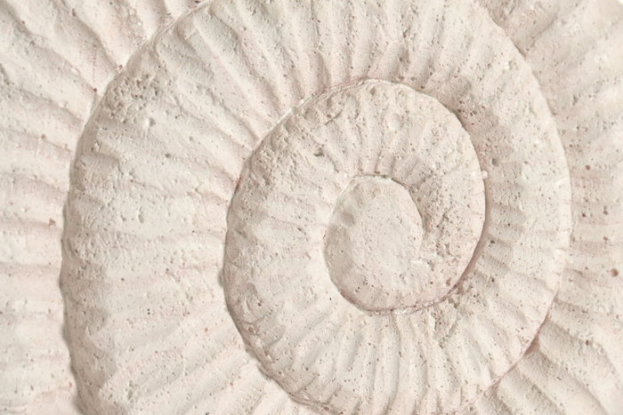 DKD Home Decor Sujetapuertas de Cemento Caracola Blanco