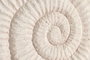DKD Home Decor Sujetapuertas de Cemento Caracola Blanco