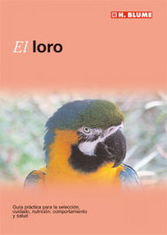 Loro, David George - H.BLUME