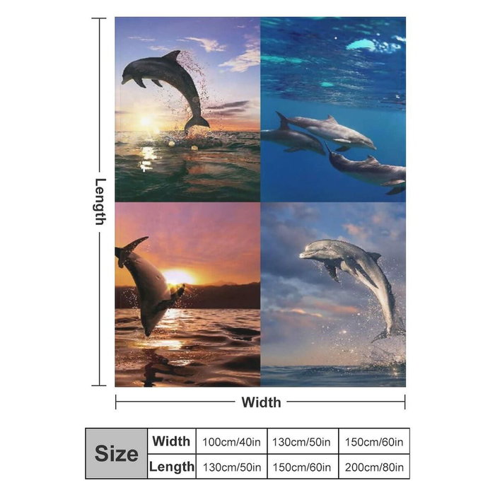 Plancha de Cocina Bourgini 161308 Plancha de Cocina Bourgini 161308