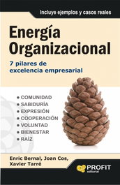 Energia Organizacional, Joan Cos Codina - PROFIT