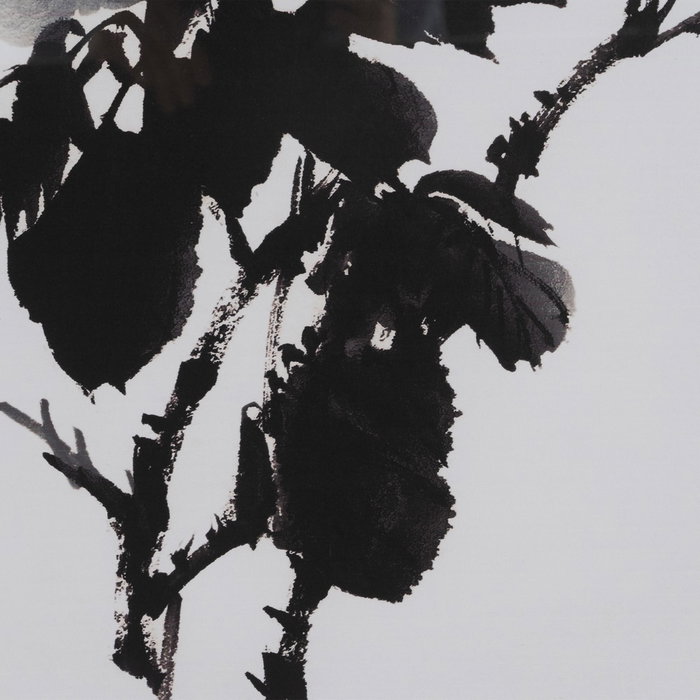 Cuadro Impresión Flores 2/M 50 X 2,50 X 70 cm (Set de 2)