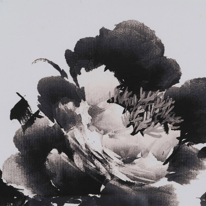 Cuadro Impresión Flores 2/M 50 X 2,50 X 70 cm (Set de 2)