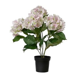 Everlands Maceta con Hortensias Artificiales, Flores de Poliéster Rosa Clarito en Macetero Negro de Plástico, 28 x 46 cm