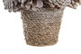 DKD Home Decor Centro Mesa Navidad Fantasia Natural Blanco Piñas 20 x 20 x 18 cm (2 Unidades)